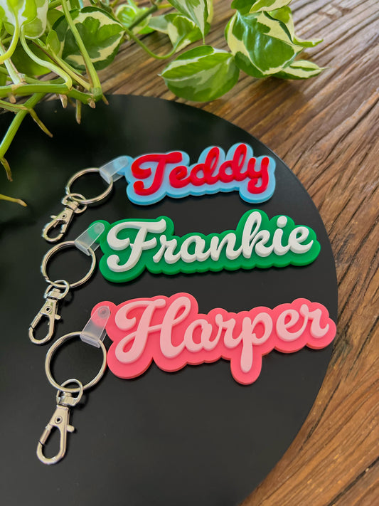 Coloured Duo Bag Tag | Keychain