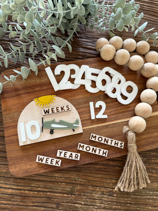 Baby Milestone Marker Interchangeable Weekly / Monthly Markers