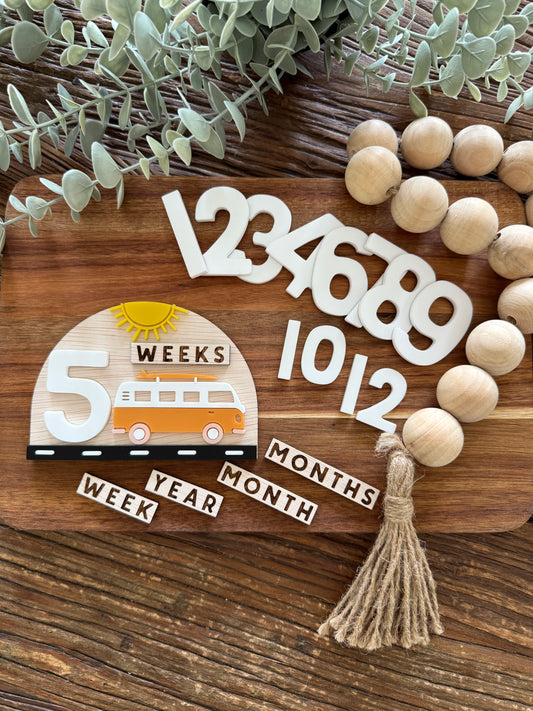 Baby Milestone Marker Interchangeable Weekly / Monthly Markers